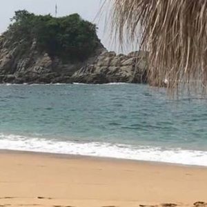 Meet your Posher, Rony